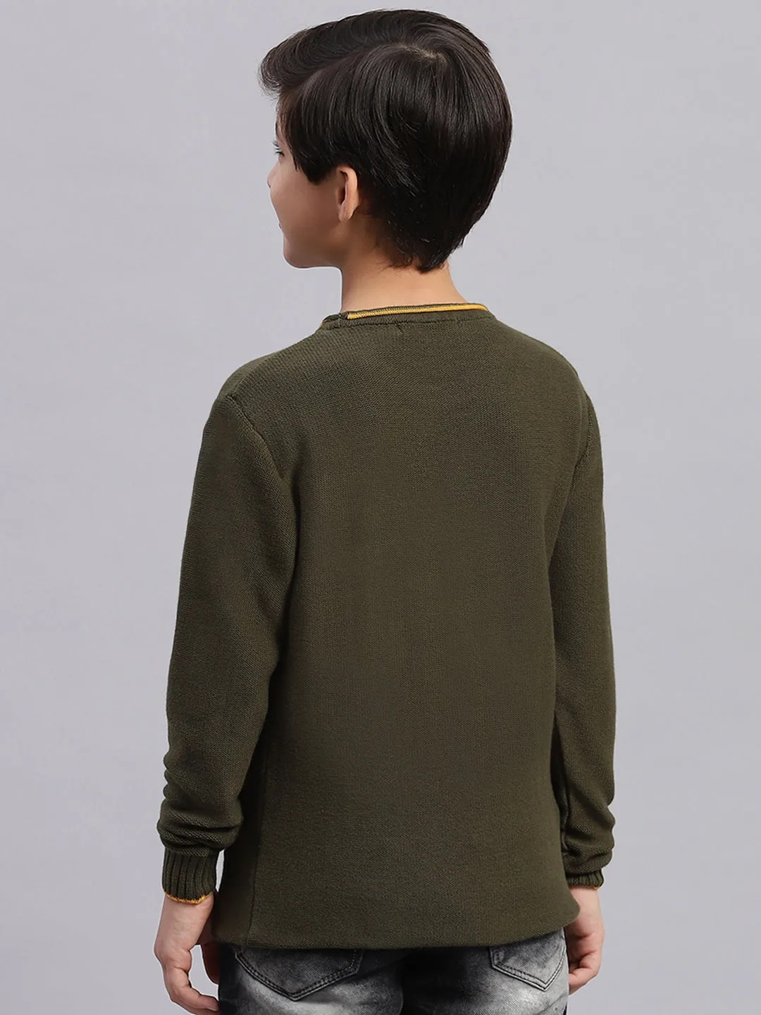 Boys Olive Solid Round Neck Full Sleeve Sweater